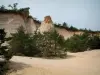Colorado provençal - Deserto branco com areia, árvores e pequenas falésias (antigas pedreiras ocres de Rustrel)