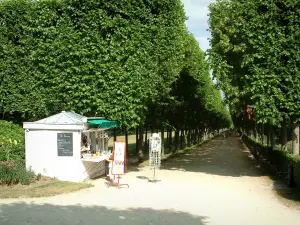 Compiègne - El parque del castillo con un mirador y un largo camino bordeado de árboles