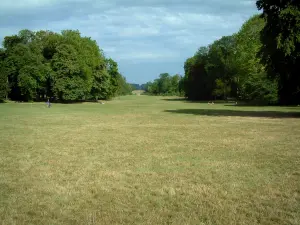 Compiègne - Park, bomen en oprit (Avenue) Beaux-Monts met een bewolkte hemel