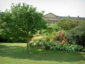 Compiègne - Park (tuin) van het kasteel met gazon, bomen, planten, bloemen en struiken, gevel van het kasteel op de achtergrond