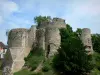 Conches-en-Ouche - Vestiges du donjon