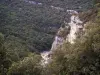 Concluses de Lussan - Gorges de l'Aiguillon : falaises (parois rocheuses), arbustes et arbres
