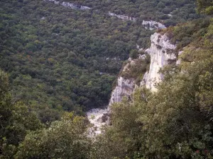 Concluses van Lussan - Gorges de l'Aiguillon kliffen (rotsen), struiken en bomen