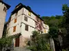 Conques - Ruelle fleurie et façades de maisons du village médiéval