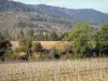 The Corbières Vineyards - Gastronomy, holidays & weekends guide in the Aude