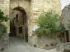 Cordes-sur-Ciel - Portail Peint (porte fortifiée) abritant le musée d'Art et d'Histoire Charles-Portal, fleurs et arbustes