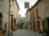 Cordes-sur-Ciel - Geplaveide straatjes van de bovenstad (middeleeuwse stad) met zijn stenen huizen met gevels versierd met smeedijzeren borden, de winkels (winkels), de bloemen en planten
