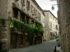 Cordes-sur-Ciel - Geplaveide straat en stenen huizen van de bovenstad