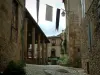 Cordes-sur-Ciel - Bestrating vlaggen, hal en stenen huizen van de bovenstad (bastide Albigenzen)