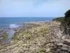 Corniche basque - Côte sauvage et océan Atlantique