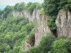 Corrèze的风景 - Bort的器官