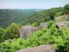 Corrèze的风景 - 从罗氏遗址观看Vézère峡谷
