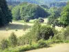 Corrèze的风景 - Limousin的Millevaches地区自然公园 -  MassifdesMonédières：树木环绕的牧场