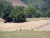 Corrèze的风景 - 绿树成荫的田野