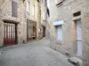 Corrèze - Alley lined with stone houses