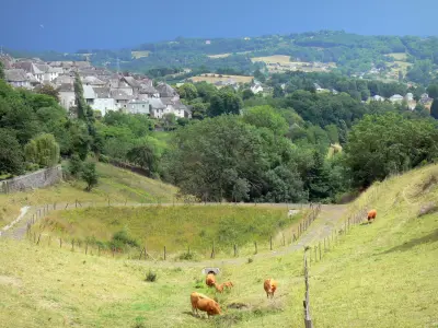 Corrèze landscapes