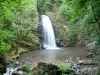 Corrèze landscapes - Murel waterfall in the gorge Franche Valeine; in the town of Albussac
