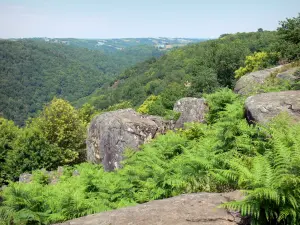 Corrèze landscapes - View of the gorges of the Vézère from the Roche site