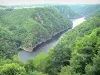 Corrèze landscapes - Site of Saint-Nazaire: panorama of the gorges of the Dordogne and the confluence of the Dordogne and the Diège background