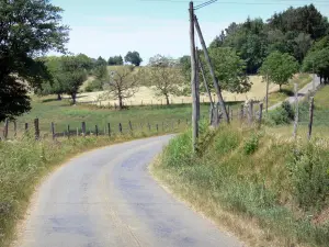 Corrèze landscapes - Small country road