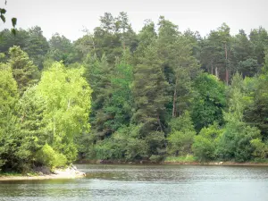 Corrèze landscapes - Feyt lake surrounded by trees