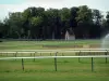 Corrida - Racecourse (pista de corridas) de Chantilly e árvores