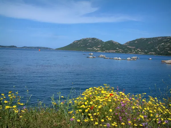 Guide de Corse - Tourisme, vacances & week-end en Corse