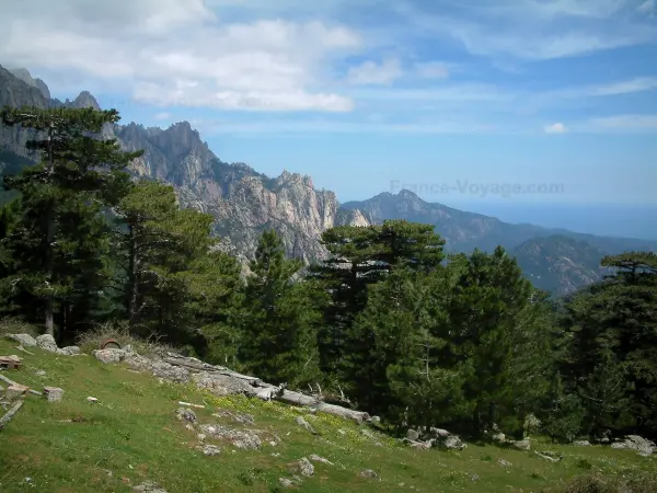 The Corsica Regional Nature Park - Tourism, holidays & weekends guide in Corsica