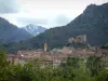 Corte - Bäume, Altstadt, Adlerhorst der Zitadelle und Berge (verschneiter Gipfel) im Hintergrund