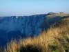 Costa de alabastro - Grama alta em primeiro plano com vista para as falésias no Pays de Caux