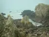 Costa Selvagem - Rochas e mar (Oceano Atlântico)