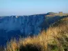 Côte d'Albâtre - Herbes hautes en premier plan avec vue sur les falaises, dans le Pays de Caux