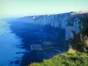 Côte d'Albâtre - Herbe en premier plan, falaises et mer (la Manche), dans le Pays de Caux