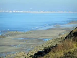 Côte Fleurie - Herbage, rochers, plage de sable et estuaire de la Seine