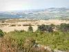 Côte-d'Or landscapes - Panorama from the top of the mountain of the Three Crosses