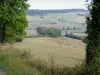 Côte-d'Or landscapes - Rolling pastures