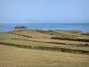 Cotentin coast - Caps road: fields with view of the Channel (sea); landscape of the Cotentin peninsula