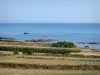 Cotentin coast - Caps road: fields by the Channel (sea); landscape of the Cotentin peninsula