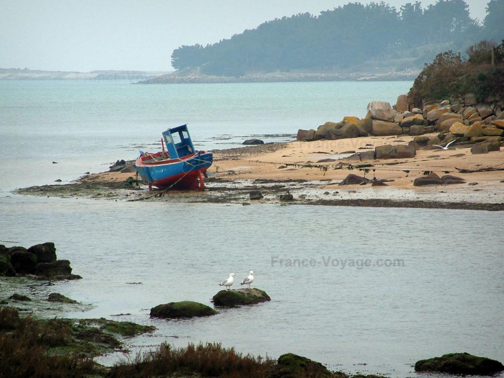 Guide des Côtes-d'Armor - Paysages du littoral de Bretagne - Côtes parsemées d'arbres, rochers, sable, chalutier coloré, mer (la Manche) et oiseaux