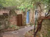 Cotignac - Aldeia de aldeia com plantas de escalada, paredes de pedra e casa com uma porta azul