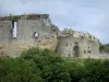 Coucy-le-Château-Auffrique - Vestiges du château féodal de Coucy (forteresse médiévale) et verdure
