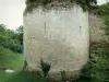 Coudray-Salbart castle - Tower of the fortress; in the town of Échiré