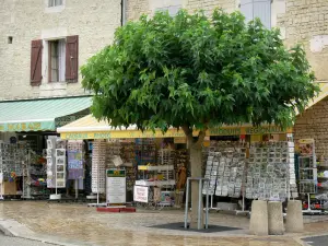 Coulon - Façades de pierres, boutiques de souvenirs et produits régionaux, et arbre de la place de l'Église