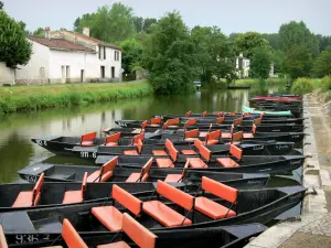 Coulon - Barques amarrées (embarcadère pour une promenade en barque dans la Venise verte), maisons et arbres au bord de l'eau ; dans le Marais poitevin (marais mouillé)