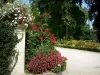 Coutances - Tuinplanten: bloemen, planten en bomen