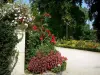 Coutâncias - Plantas de jardim: flores, plantas e árvores