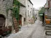 La Couvertoirade - Ruelle pavée bordée de maisons