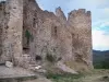 Couzan城堡 - 中世纪堡垒的遗址（遗迹）;在Sail-sous-Couzan