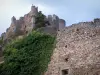 Couzan城堡 - 中世纪堡垒的遗址（遗迹）;在Sail-sous-Couzan