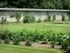 Craon castle - Kitchen garden